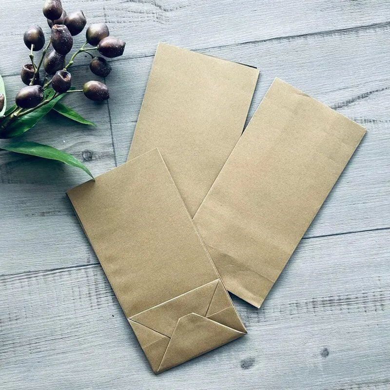 Budget Kraft Gift Bag Medium SOS2 - Pack of 100