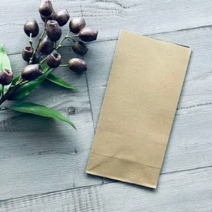 Budget Kraft Gift Bag Medium SOS2 - Pack of 100