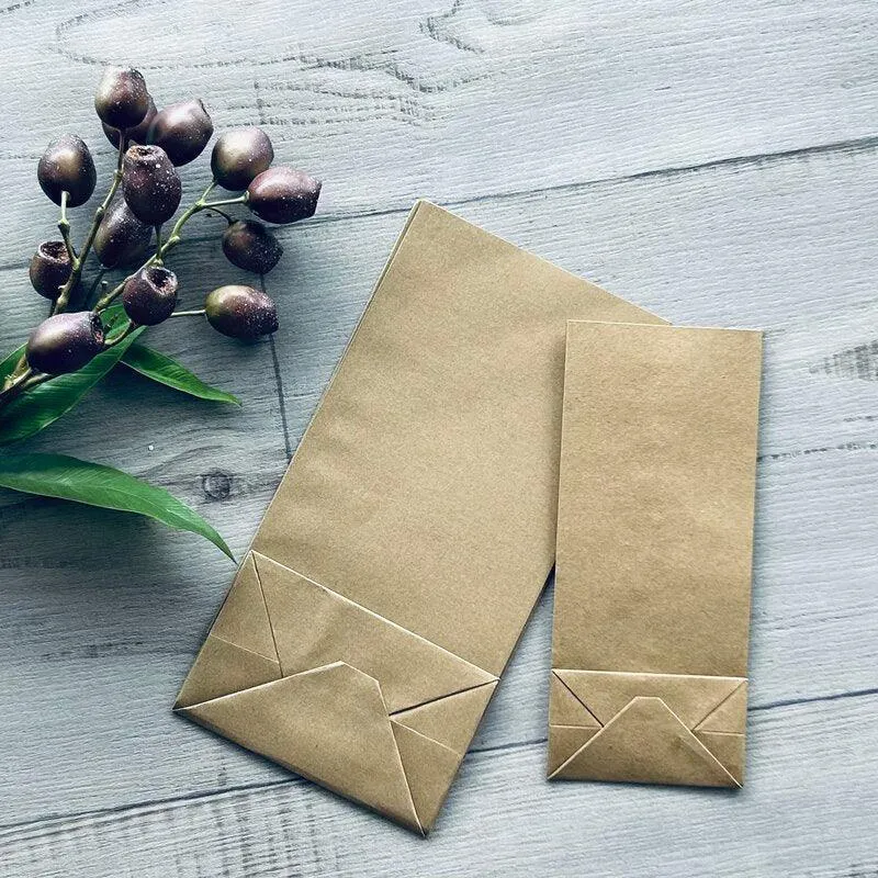 Budget Kraft Gift Bag Medium SOS2 - Pack of 100