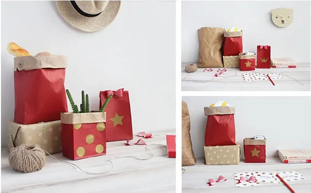 Durable Kraft Paper Storage Bags 4pcs Set H612D