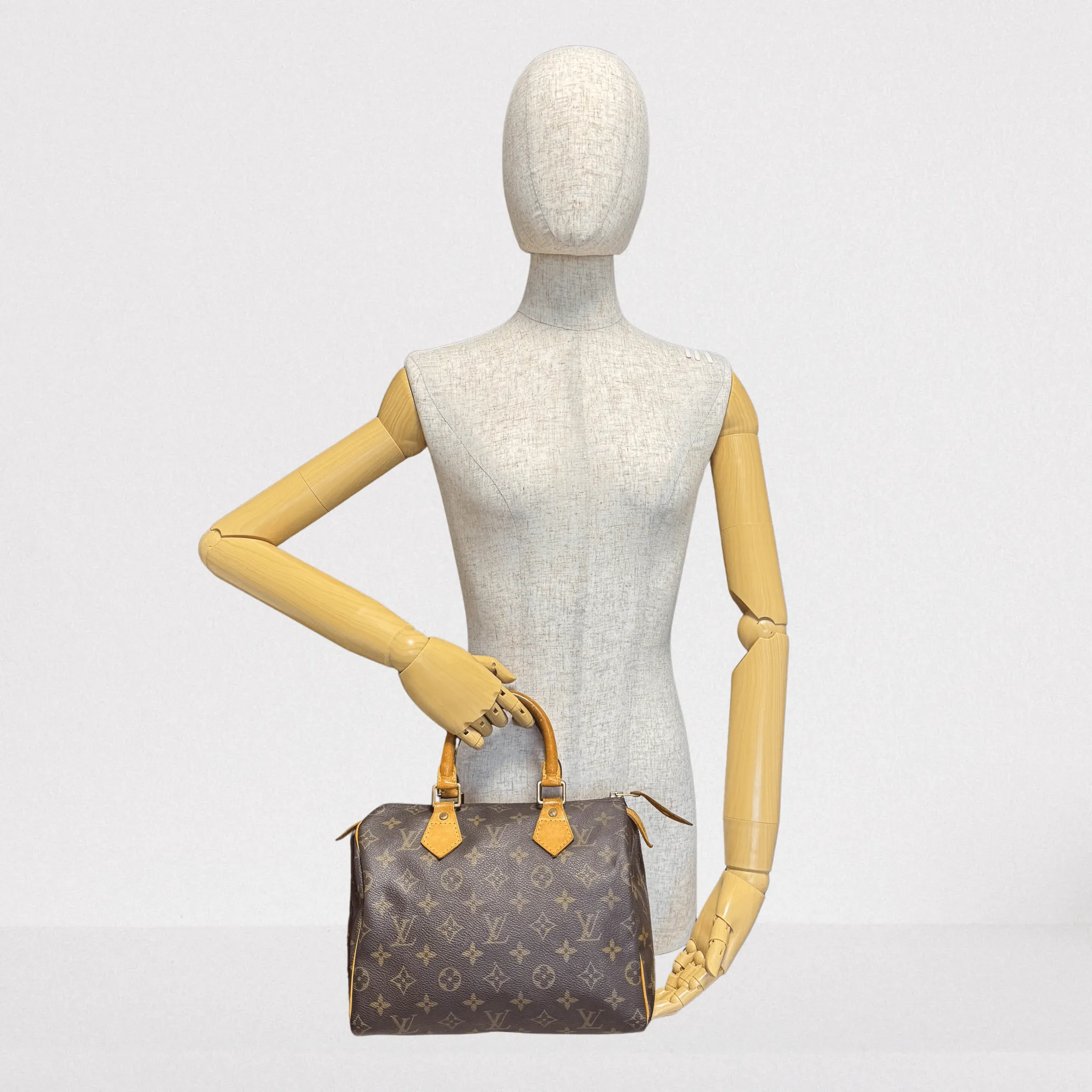 Monogram Speedy 25 Hand Bag