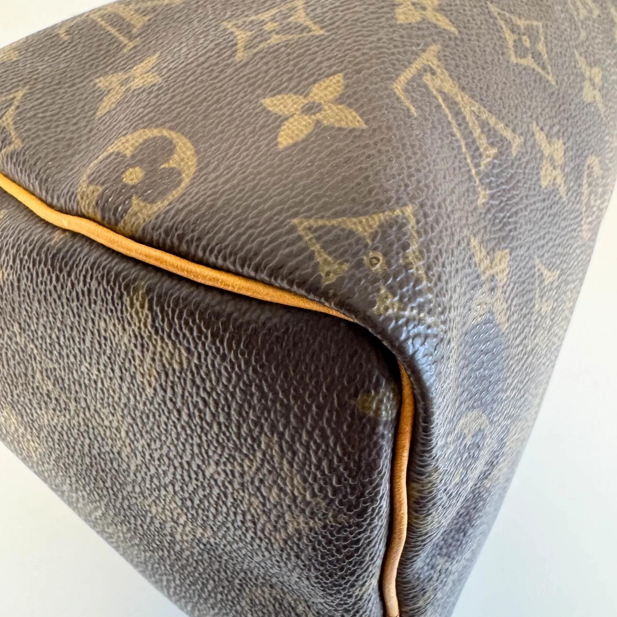 Monogram Speedy 25 Hand Bag