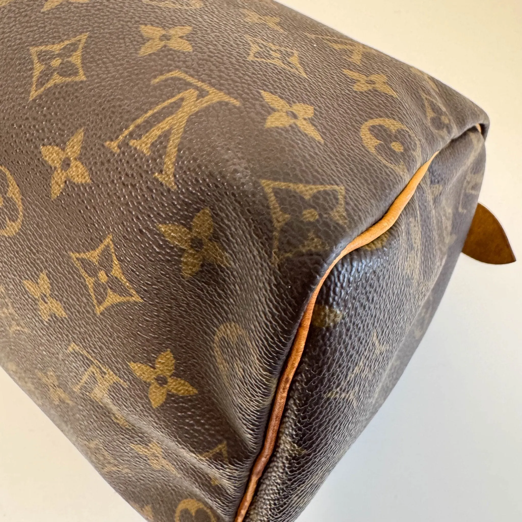 Monogram Speedy 25 Hand Bag