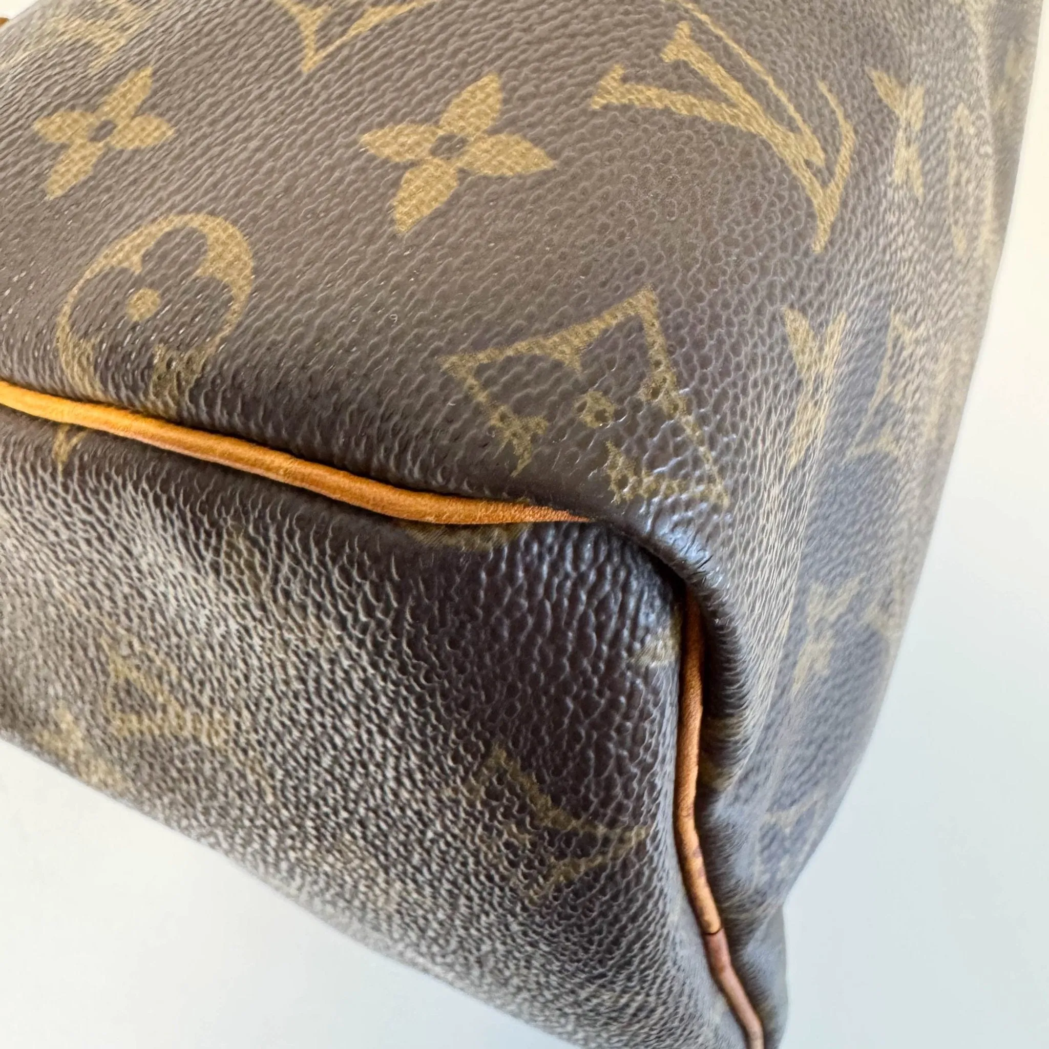 Monogram Speedy 25 Hand Bag