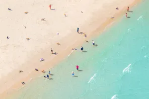 The Dog Beach, Chicago