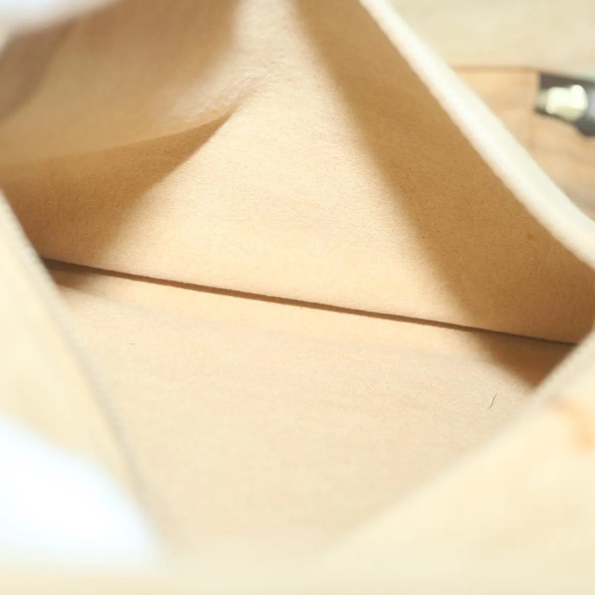 Trendy Inspired Louis Vuitton Monte Carlo Clutch Bag