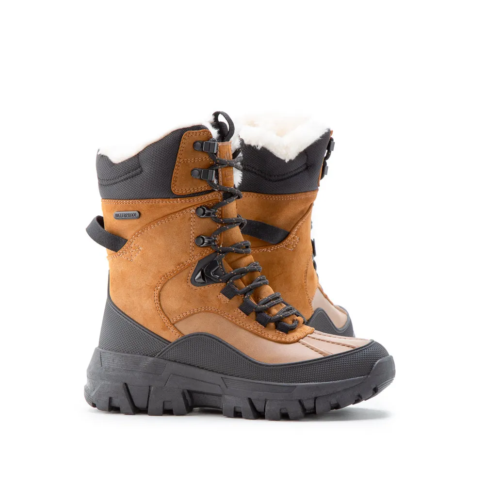 WINTERVALE H